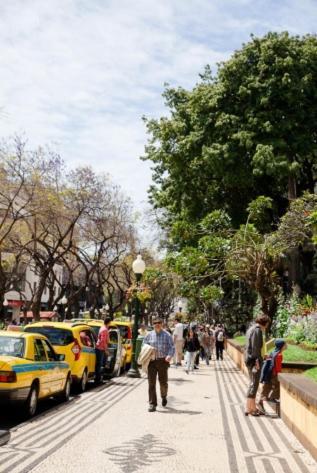 Central Funchal Apartment - Garden - Free Parking & Ac Bagian luar foto