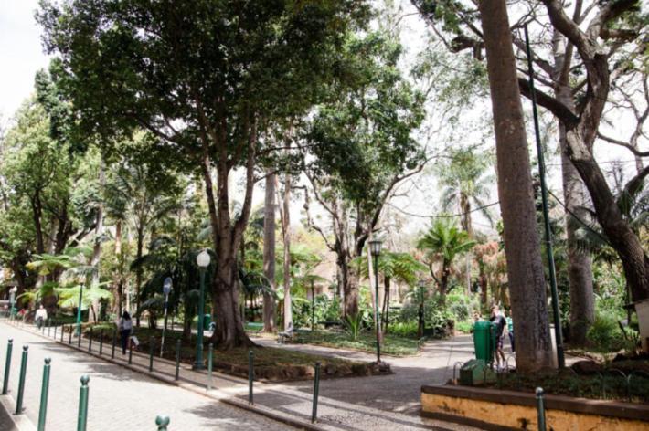 Central Funchal Apartment - Garden - Free Parking & Ac Bagian luar foto